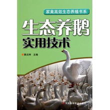 生態(tài)養(yǎng)鵝實(shí)用技術(shù) 家禽高效生態(tài)養(yǎng)殖書系指南